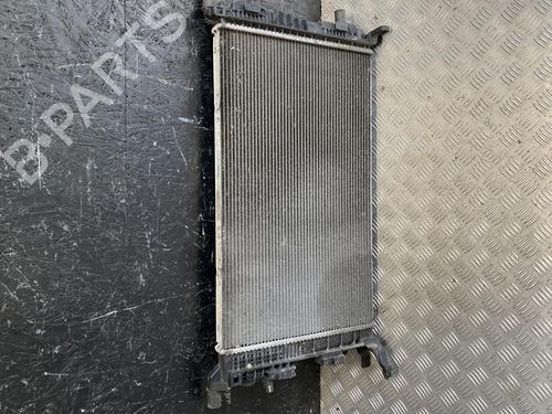Used Water radiator RENAULT SCÉNIC III (JZ0/1_) 1.4 16V (JZ0F, JZ1V) (131 hp) 28929441