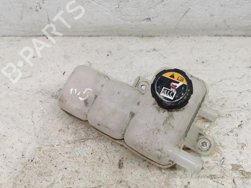 Used Expansion tank HYUNDAI IONIQ (AE) 1.6 GDI Hybrid (105 hp) 28918669