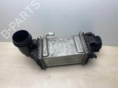 Intercooler VW GOLF VIII (CD1, DA1) 1.5 eTSI | BP34190000M30  - Image 6
