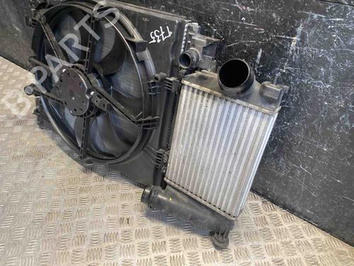 Køler NISSAN QASHQAI II (J11, J11_) 1.2 DIG-T | BP28938952M31 