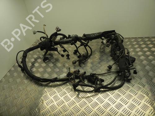 wiring-harness-lexus-rx-_l2_-2015-37545715 main image