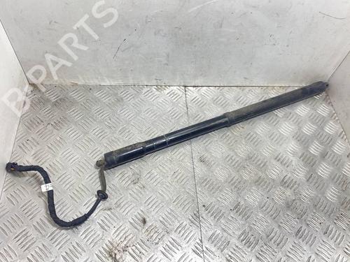 Hinge/Door check strap PORSCHE CAYENNE (92A) 4.8 Turbo | BP28913589C146 