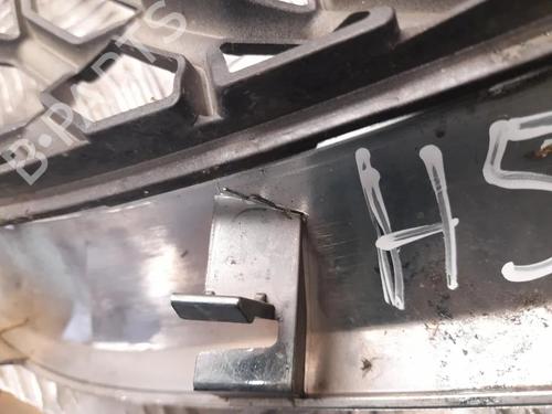 Grill FORD USA EDGE 2.0 TDCi Bi-Turbo AWD | BP31338494C40 