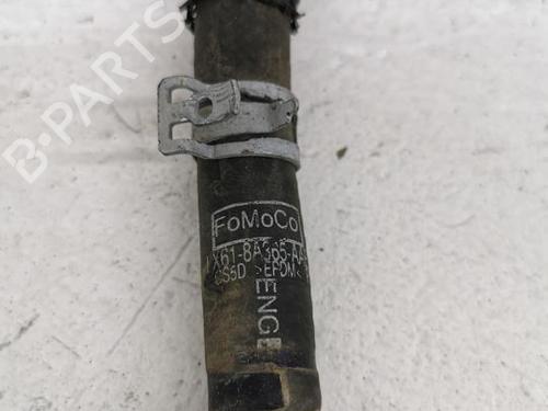 Pipe FORD KUGA II VAN 1.5 EcoBoost | BP29811767M125