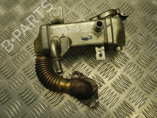 Egr NISSAN X-TRAIL III (T32_, T32R, T32RR) 1.6 dCi (T32) | BP28932486M69 