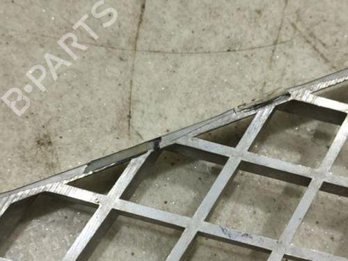 Grille BENTLEY CONTINENTAL FLYING SPUR (3W_) 6.0 FLEX | BP28942521C40 