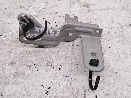 Used Other FORD KUGA II VAN 1.5 EcoBoost (150 hp) 29811804