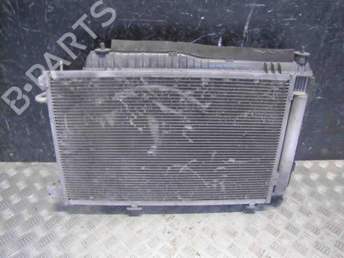 Køler FORD FIESTA VI (CB1, CCN) 1.6 Ti (120 hp) 28921546