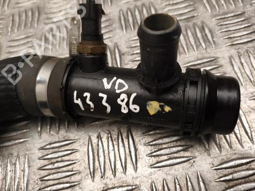 Pipe ALFA ROMEO GIULIA (952_) 2.0 (952ABA25B) | BP38314375M125 - Image 4