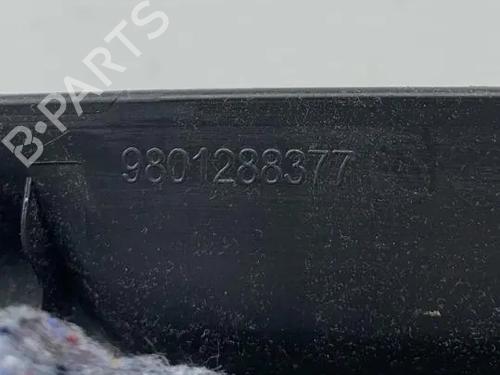 Pynteliste til bagklap CITROËN C4 CACTUS 1.2 THP 110 | BP37010077C151 - Image 3