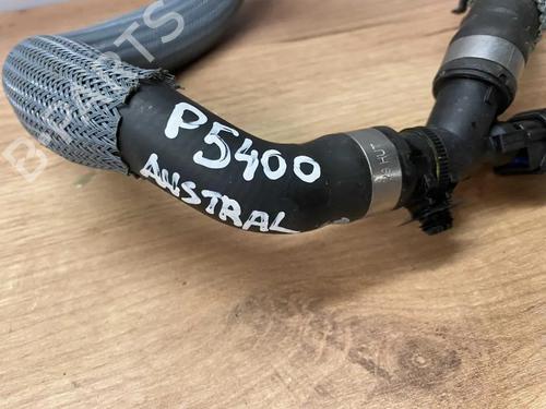 Pipe RENAULT AUSTRAL E-TECH 200 Hybrid (HGM2) | BP31975835M125 