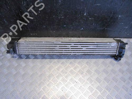 Used Intercooler RENAULT SCÉNIC III (JZ0/1_) 1.4 16V (JZ0F, JZ1V) (131 hp) 28914606