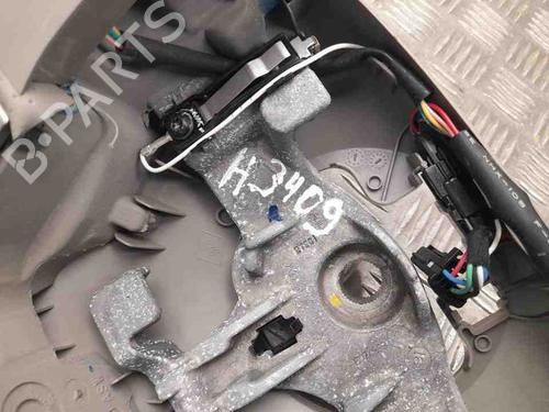 Rat RENAULT ZOE (BFM_) ZOE | BP28931617C49 