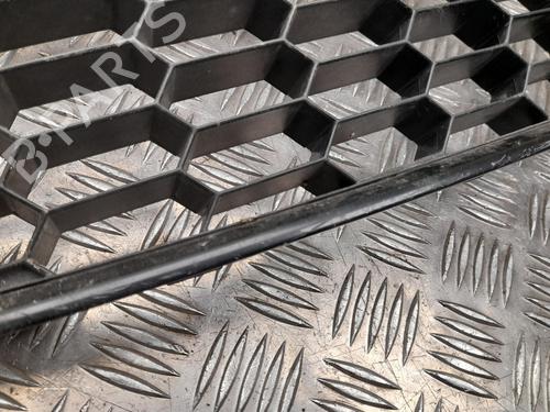 Grill FORD FIESTA VI (CB1, CCN) 1.5 TDCi | BP28922099C40 