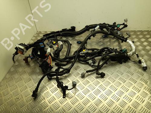 Ledningsnet Ledningsnet NISSAN JUKE (F16_) 1.6 Hybrid (143 hp) 37551751 37551751