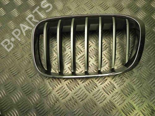 Used Grille BMW X1 (F48) sDrive 20 i (192 hp) 28945743