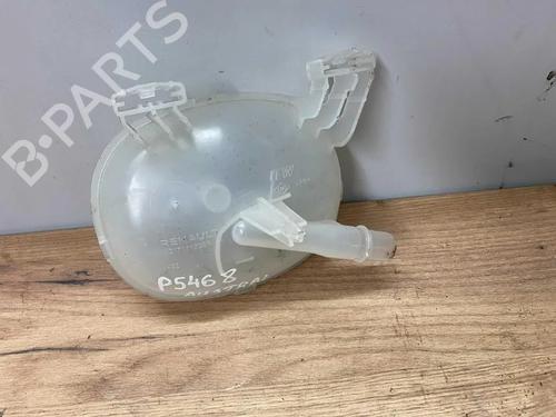 Ekpansionstank RENAULT AUSTRAL E-TECH 200 Hybrid (HGM2) | BP31975864C120