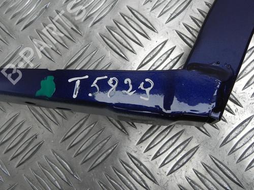 Hinge/Door check strap BMW 5 (G30, F90) 530 d | BP28942684C146 