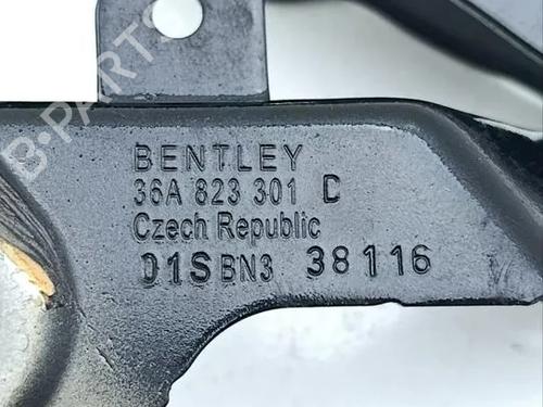 Hinge/Door check strap BENTLEY BENTAYGA (4V1) 6.0 | BP37269603C146  - Image 9
