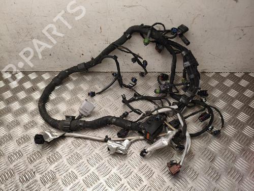 Used Wiring harness Wiring harness 38450166 38450166