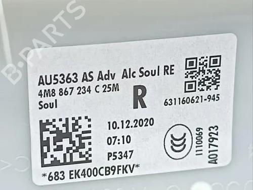 Other AUDI Q8 (4MN, 4MT) RS FSI Mild Hybrid quattro | BP36953120O1  - Image 11