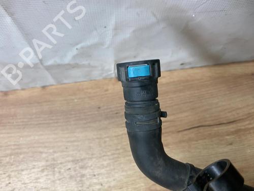Pipe FORD PUMA (J2K, CF7) 1.0 EcoBoost | BP38967017M125 - Image 5