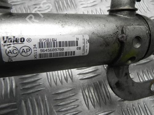 Egr FORD S-MAX (WA6) 2.0 TDCi | BP28943089M69 