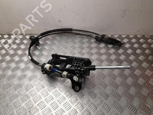 Gearstang Gearstang 37556554 37556554