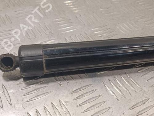 Hinge/Door check strap PORSCHE PANAMERA (970) 3.6 4 | BP28929298C146 