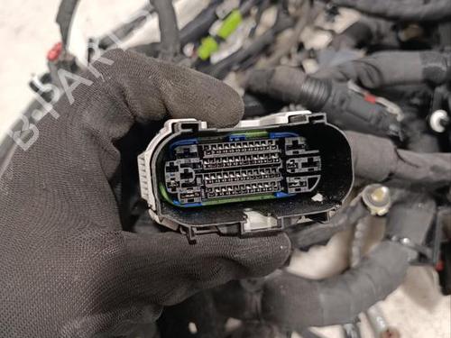 Wiring harness CHEVROLET CORVETTE (C8) 6.2 | BP40027225E16 - Image 9