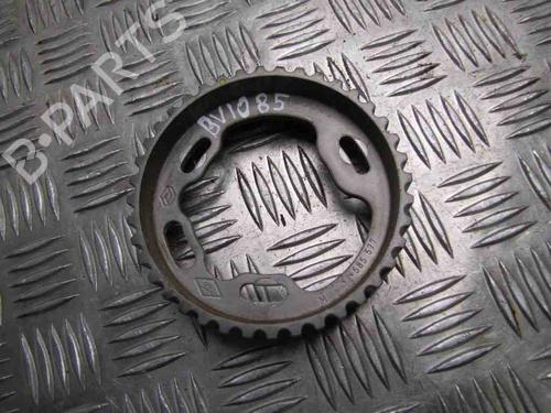 Used Pulley RENAULT SCÉNIC III (JZ0/1_) 1.5 dCi (110 hp) 28917020