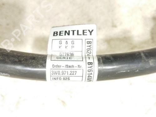 Cable BENTLEY CONTINENTAL FLYING SPUR (3W_) 6.0 FLEX | BP28924455E12