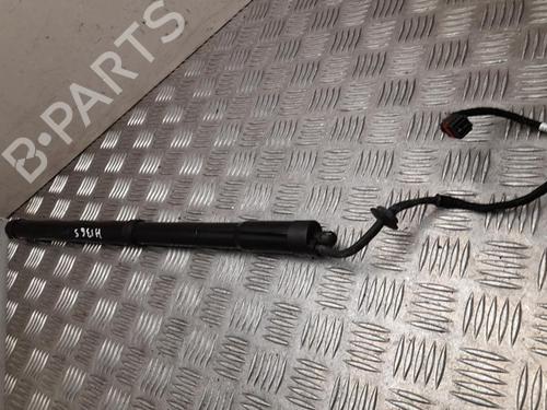 Tailgate lift support LAND ROVER RANGE ROVER IV (L405) 4.4 SDV8 4x4 | BP28943916C138 