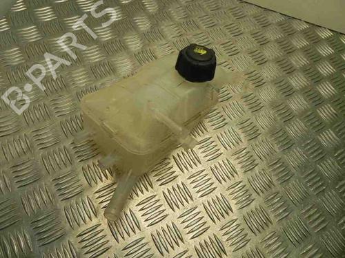 Used Expansion tank RENAULT SCÉNIC III (JZ0/1_) 1.5 dCi (110 hp) 28948580