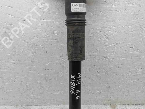 Left rear shock absorber PEUGEOT 208 II (UB_, UP_, UW_, UJ_) e-208 | BP28910026M18