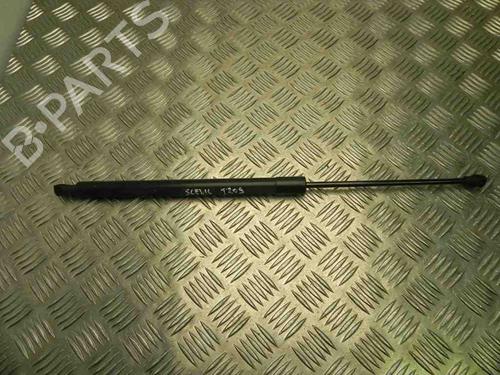 Used Tailgate lift support Tailgate lift support RENAULT SCÉNIC III (JZ0/1_) 1.5 dCi (110 hp) 28922602 28922602