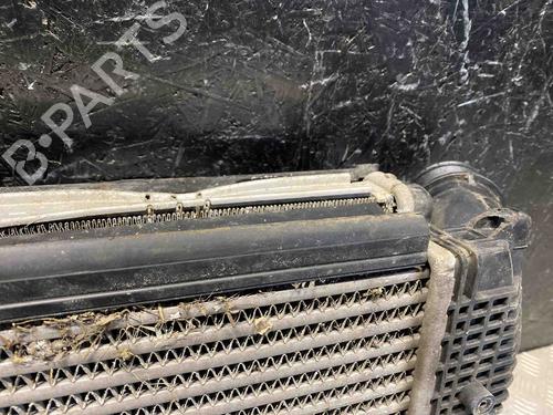 Køler SKODA YETI (5L) 2.0 TDI 4x4 | BP28940698M31