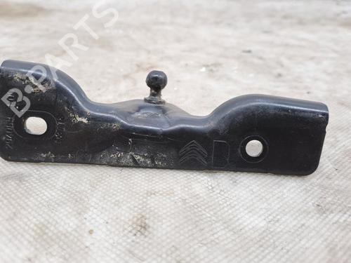 Hinge/Door check strap RENAULT ZOE (BFM_) ZOE | BP28912704C146 
