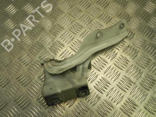 Hinge/Door check strap NISSAN QASHQAI II (J11, J11_) 1.2 DIG-T | BP28919399C146 
