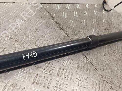 Hinge/Door check strap PORSCHE CAYENNE (92A) 3.6 | BP28912442C146 