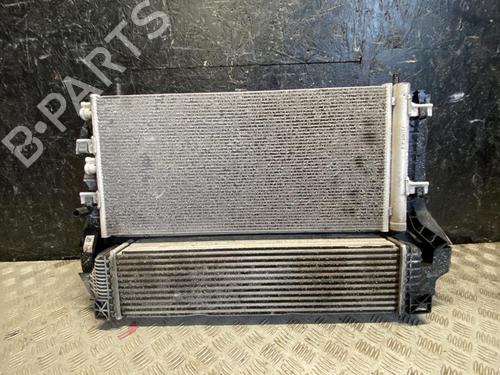 Used Water radiator BMW 2 Gran Coupe (F44) 220 d (163 hp) 28933269