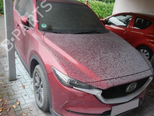 Gearstang MAZDA CX-5 (KF) 2.2 D AWD | BP37564249M90  - Image 7