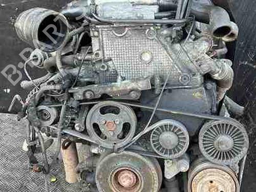 Used Engine OPEL SIGNUM Hatchback (Z03) 2.0 DTI (F48) (100 hp) 28920998