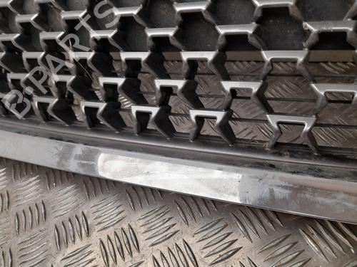 Grille LEXUS CT (ZWA10_) 200h (ZWA10_) | BP28927162C40 