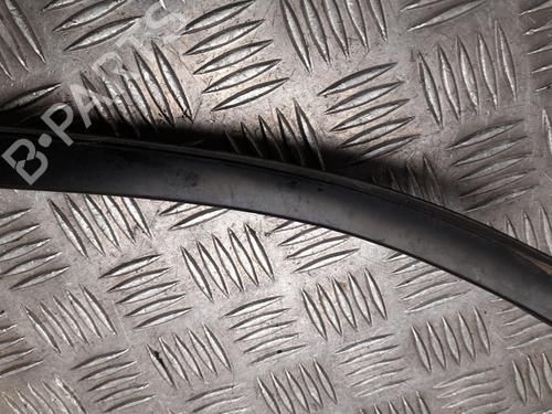 Door moulding trim TOYOTA PRIUS (_W5_) 1.8 Hybrid (ZVW50, ZVW50_, ZVW51_, ZVW50R, ZVW51) | BP28925710C150 