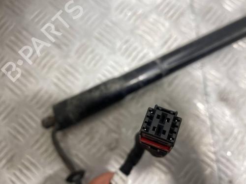 Hinge/Door check strap PORSCHE CAYENNE (92A) 4.8 Turbo | BP28913589C146 