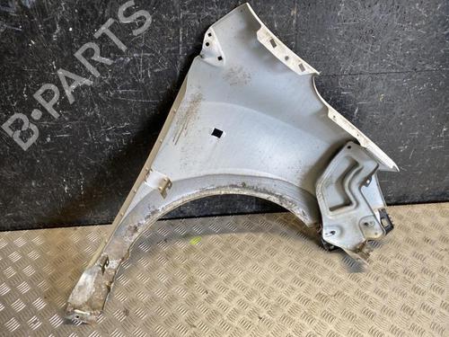 Left front fenders DACIA DOKKER Box Body/MPV 1.6 LPG | BP28914257C41 