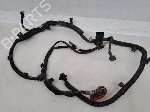 Used Cable CITROËN C4 CACTUS 1.2 THP 110 (110 hp) 28929015
