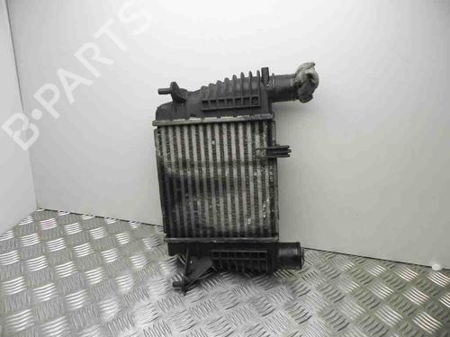 Used Intercooler RENAULT CLIO III (BR0/1, CR0/1) 1.5 dCi (65 hp) 28939210