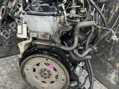 Engine NISSAN PATHFINDER III (R51) 2.5 dCi 4WD | BP35811070M1  - Image 7
